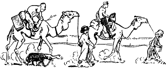 Том 2. Золотой теленок - i_041.png