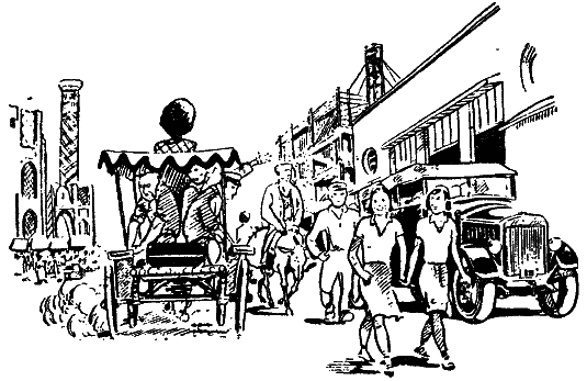 Том 2. Золотой теленок - i_042.png