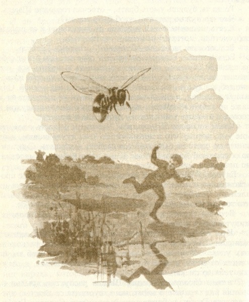 Грибуль - i_004.jpg