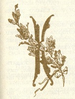 Грибуль - i_006.jpg