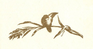 Крылья мужества - i_005.jpg