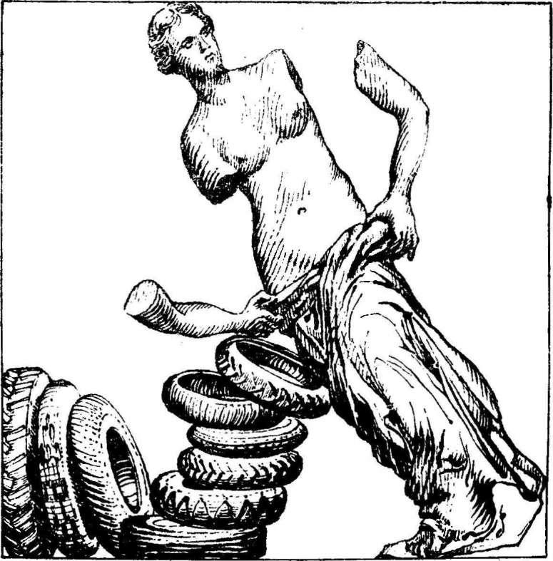 Гон спозаранку - i_018.jpg