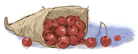 Знаменитый сыщик Калле Блюмквист рискует - i_023.jpg