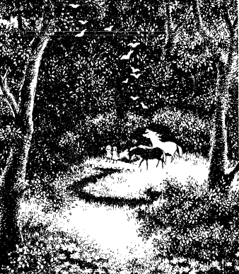 Любимая Сестра - i_001.png