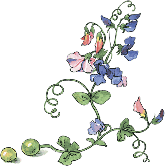 Мадикен (сборник) (илл. Демидова) - i_019.png