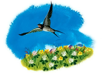 Мио, мой Мио ! - i_001.jpg