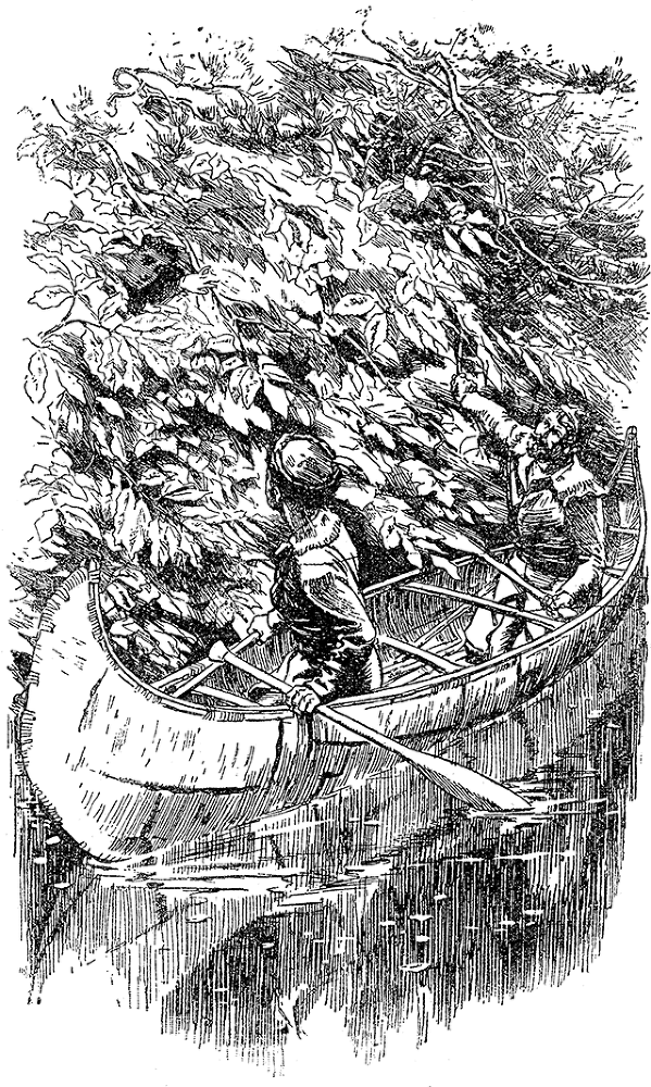 Зверобой - i_005.png