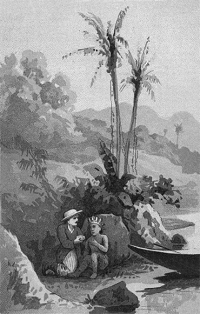 Зверобой - i_008.jpg