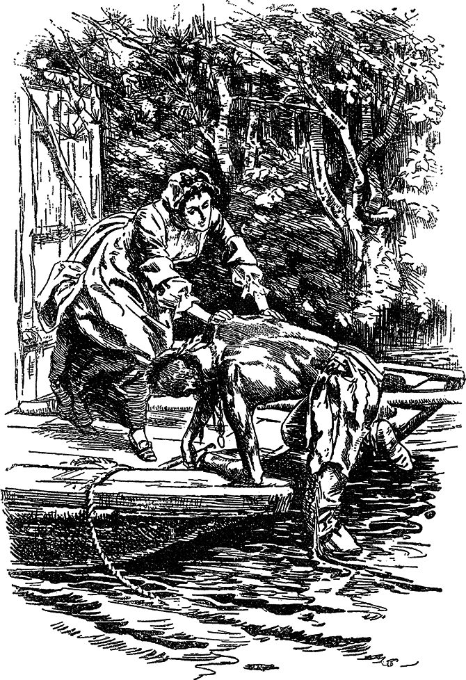 Зверобой (Художник Г. Брок) - i_007.png