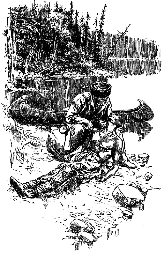 Зверобой (Художник Г. Брок) - i_011.png