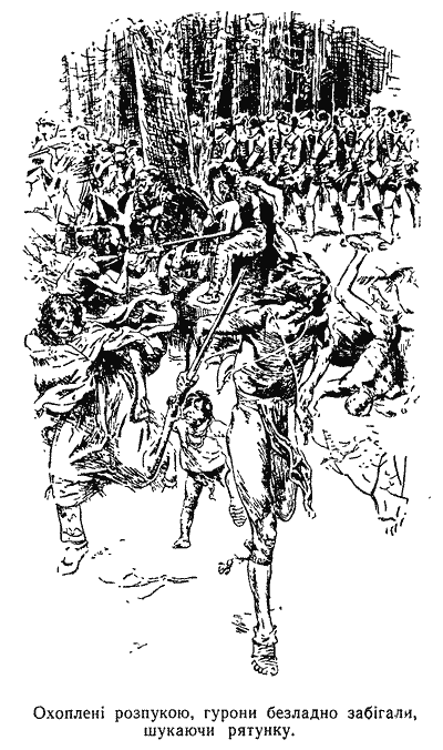 Звіробій - doc2fb_image_03000019.png