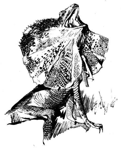 Зоопарки - i_006.png