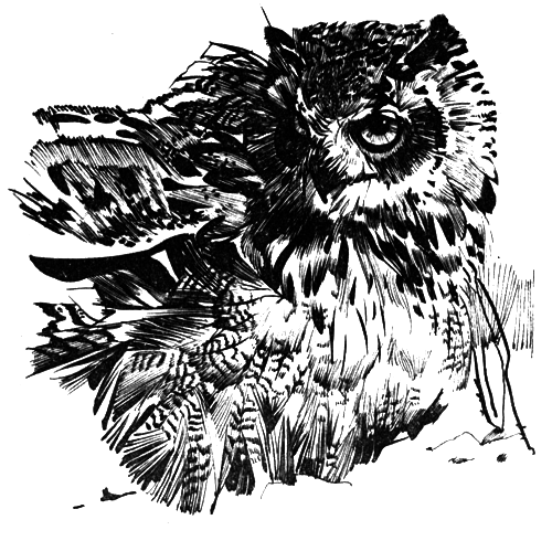 Зоопарки - i_007.png