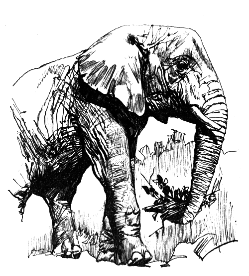 Зоопарки - i_014.png