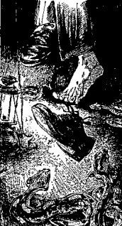 Мясной рулет. ВСТРЕЧИ С ЖИВОТНЫМИ - pic_13.jpg