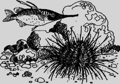 Ослокрады (с иллюстрациями) - i_008.png