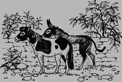 Ослокрады (с иллюстрациями) - i_010.png