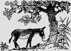 Ослокрады (с иллюстрациями) - i_014.png