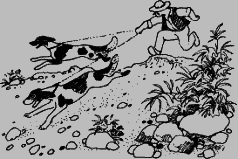 Ослокрады (с иллюстрациями) - i_022.png