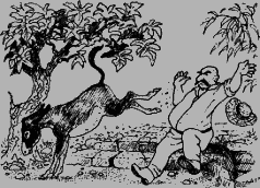 Ослокрады (с иллюстрациями) - i_026.png