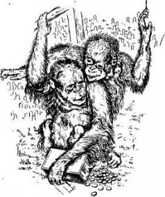 Поймайте мне колобуса (с иллюстрациями) - pic1.jpg