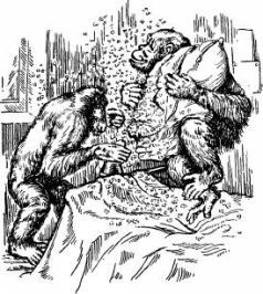 Поймайте мне колобуса (с иллюстрациями) - pic2.jpg