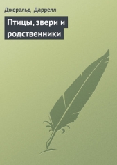 Птицы, звери и родственники - автор Даррелл Джеральд 