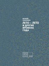 ЛЕТО – ЛЕТО и другие времена года - автор Гришковец Евгений 