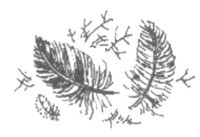 Изгнанник - i_007.jpg