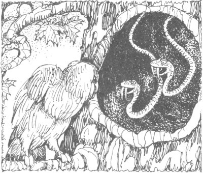 Изгнанник - i_008.jpg