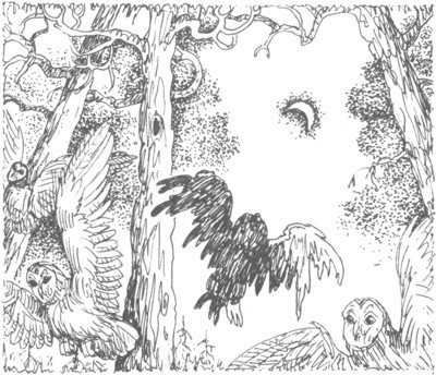 Изгнанник - i_017.jpg