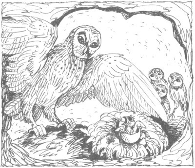 Изгнанник - i_021.jpg