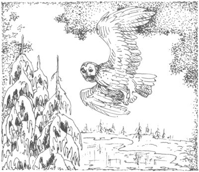 Изгнанник - i_023.jpg