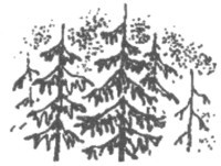 Изгнанник - i_024.jpg