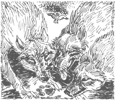 Изгнанник - i_038.jpg