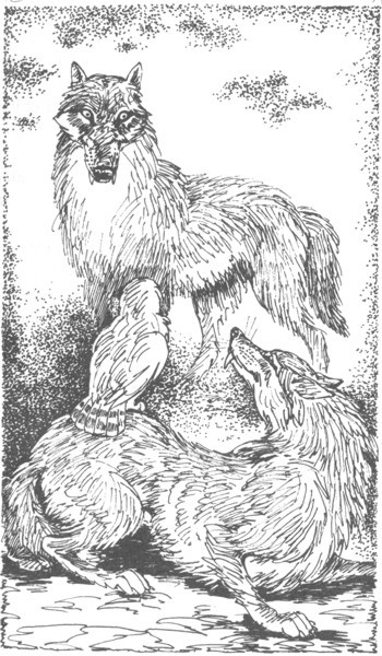 Изгнанник - i_039.jpg