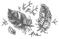 Изгнанник - i_046.jpg