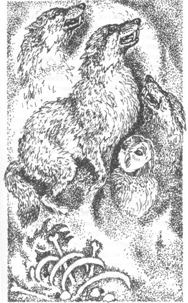 Наследник - i_009.jpg