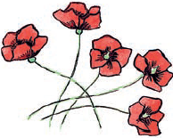 В гостях у Чебурашки - i_078.png