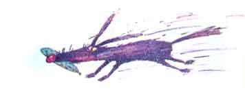 Колобок идет по следу. Книга 2 - u2_20.jpg