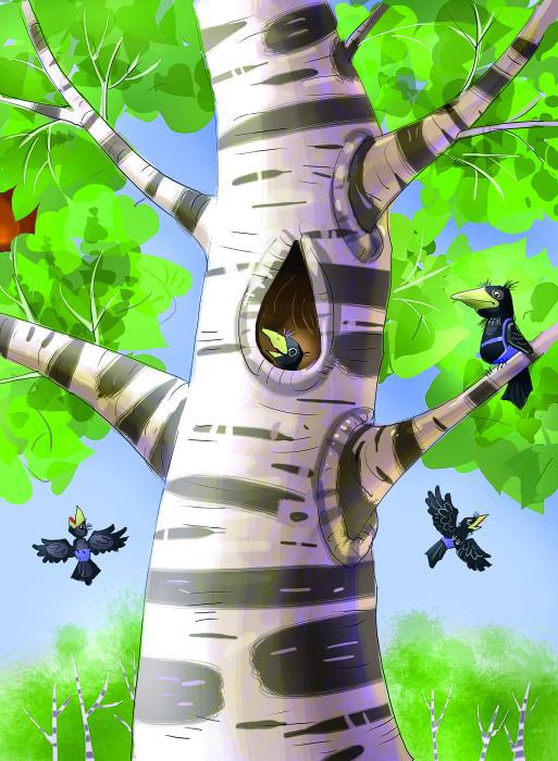 Про Огуречика и Помидорика - _013.jpg