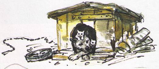 Рассказы о природе - i_002.jpg