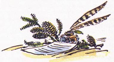 Рассказы о природе - i_004.jpg