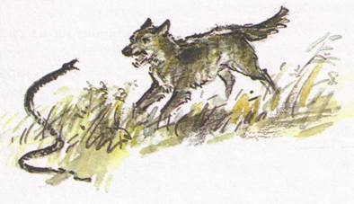 Рассказы о природе - i_005.jpg