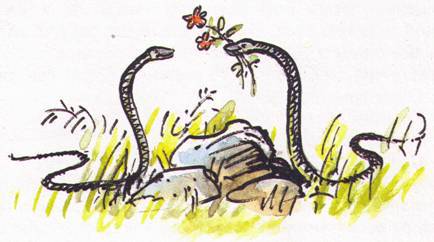 Рассказы о природе - i_006.jpg