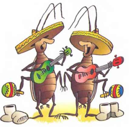 Случай со степанидом - i_010.jpg