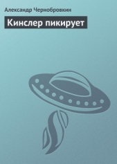 Кинслер пикирует - автор Чернобровкин Александр Васильевич 