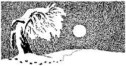 Волшебная зима - _04.png