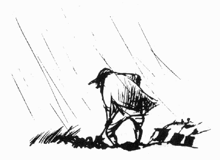 Летняя книга - image4.png