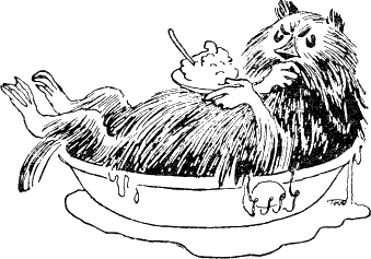 Муми-тролль и комета - i_069.png